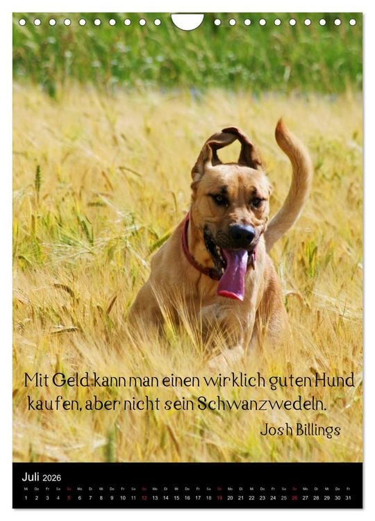 Produktbild: Der Broholmer (Wandkalender 2026 DIN A4 hoch), CALVENDO Monatskalender