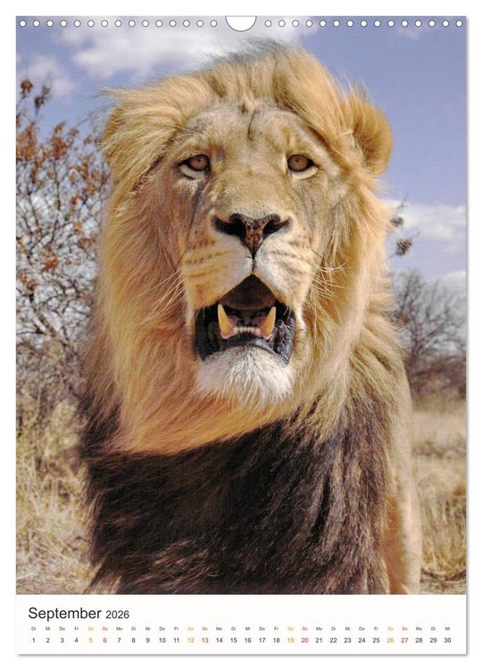 Produktbild: FAZINATION AFRIKA TIER PORTRAITS (Wandkalender 2026 DIN A3 hoch), CALVENDO Monatskalender