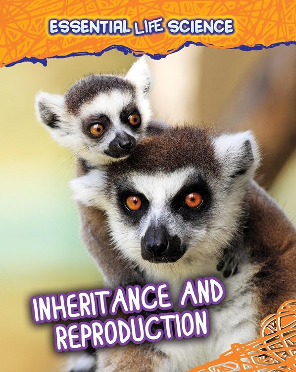 Produktbild: Inheritance and Reproduction