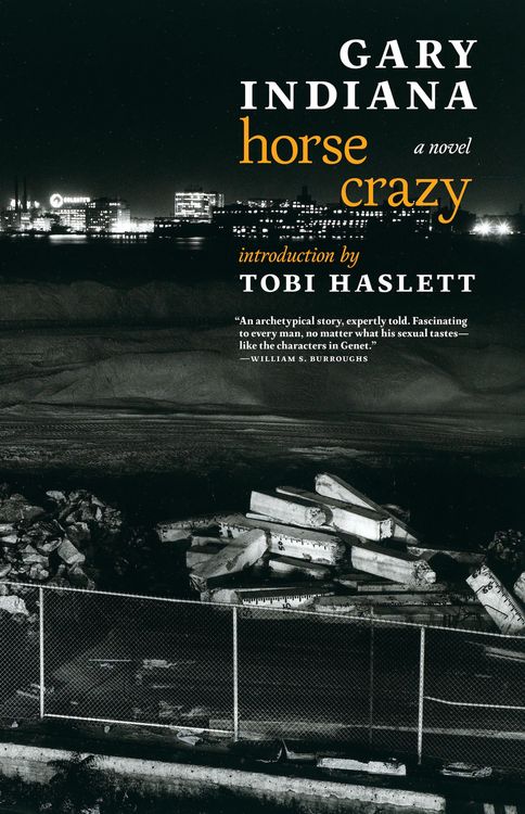 Produktbild: Horse Crazy
