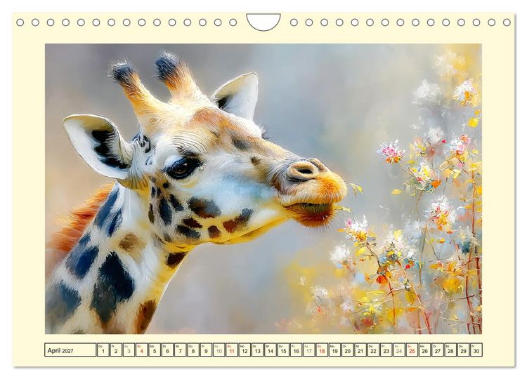 Produktbild: Giraffen. Anmut in weiter Landschaft (Wandkalender 2027 DIN A4 quer), CALVENDO Monatskalender