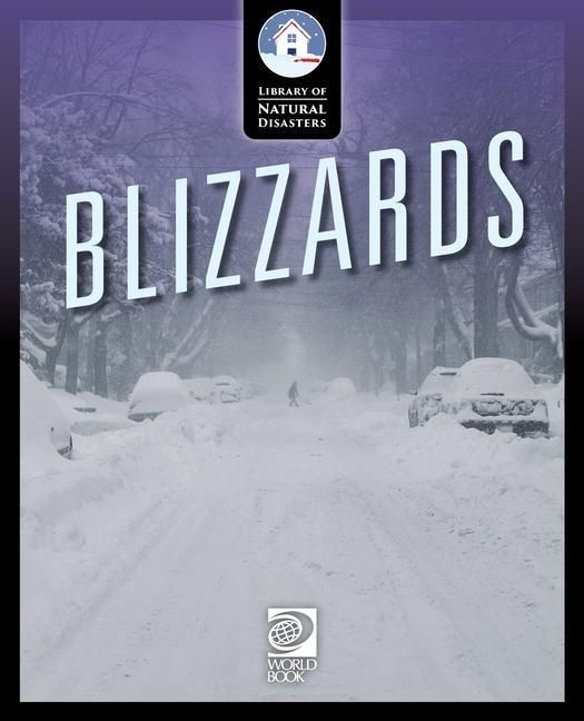Produktbild: Blizzards