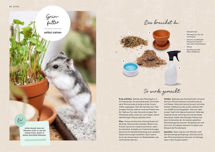 Produktbild: Hamster