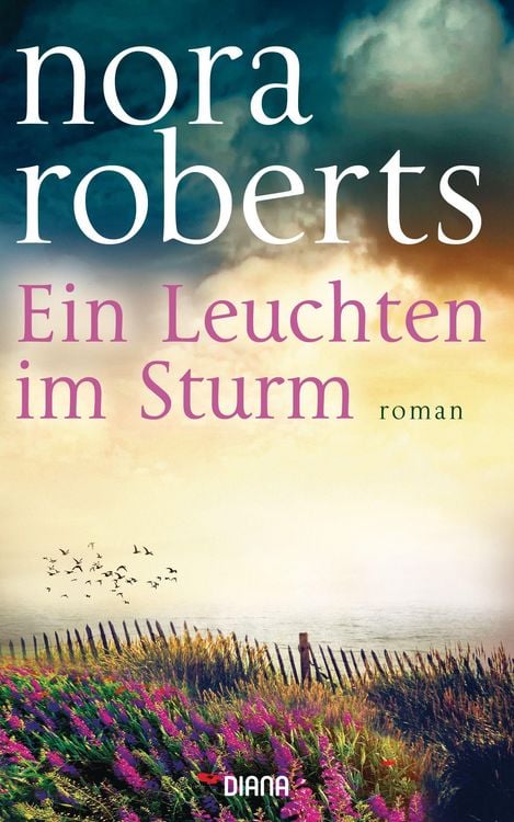 Produktbild: Ein Leuchten im Sturm