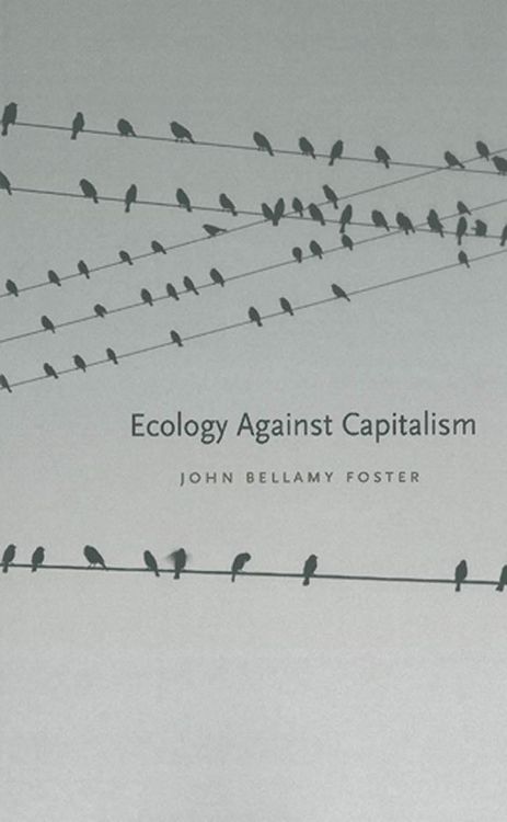 Produktbild: Ecology Against Capitalism