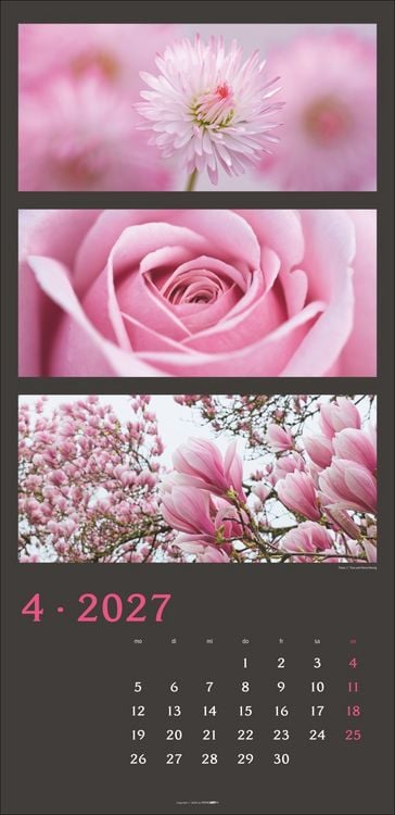 Produktbild: Die Farben der Natur Kalender 2027