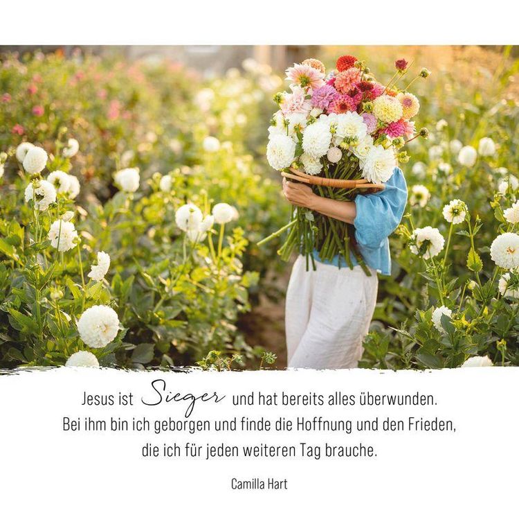 Produktbild: Momente der Hoffnung &ndash; Aufstellbuch