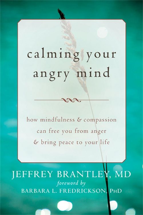 Produktbild: Calming Your Angry Mind