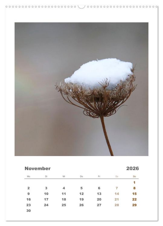 Produktbild: Minimalistisch, Gr&auml;ser, Bl&uuml;ten, Bl&auml;tter und Zweige im Fokus (Wandkalender 2026 DIN A2 hoch), CALVENDO Monatskalender