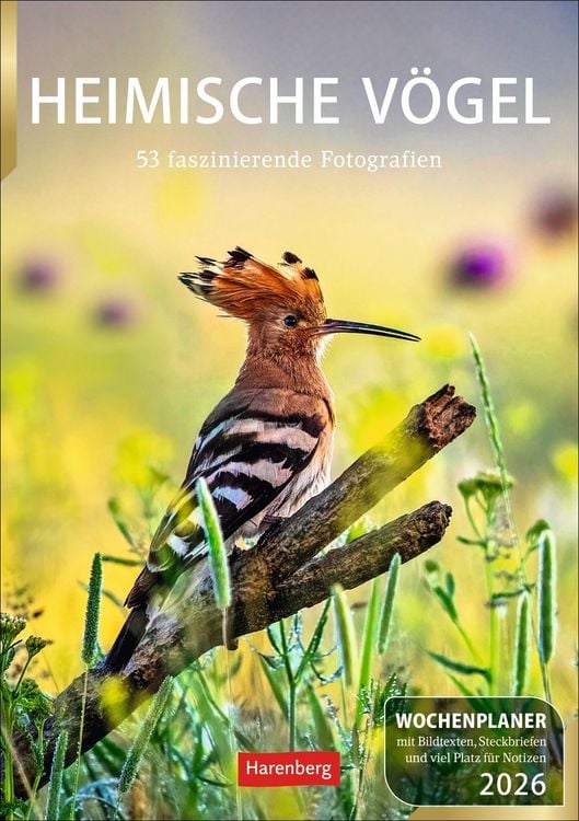 Produktbild: Heimische Vögel Wochenplaner 2026 - 53 faszinierende Fotografien