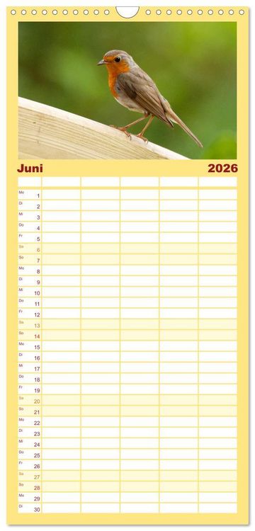 Produktbild: Familienplaner 2026 - Rotkehlchen - Fotografiert von Ostfriesenfotografie mit 5 Spalten (Wandkalender, 21 x 45 cm) CALVENDO
