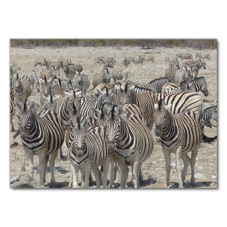 Produktbild: Lais Puzzle Zebras 1000 Teile