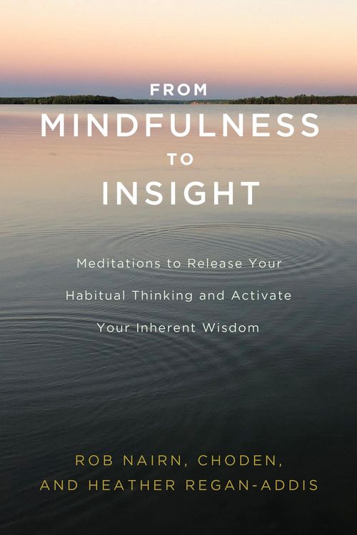 Produktbild: From Mindfulness to Insight