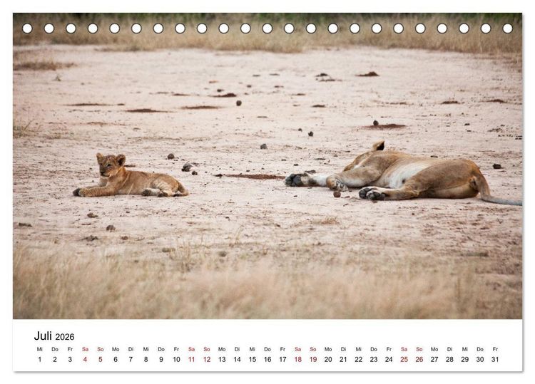 Produktbild: Sambia und der Sambesi (Tischkalender 2026 DIN A5 quer), CALVENDO Monatskalender