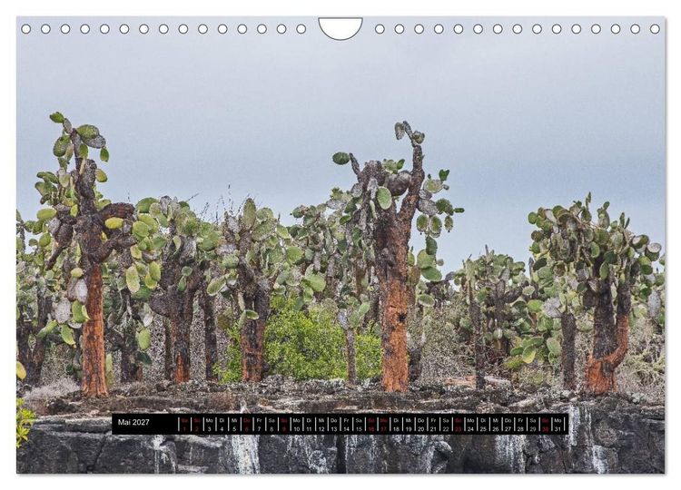 Produktbild: Galapagos- Landschaften (Wandkalender 2027 DIN A4 quer), CALVENDO Monatskalender