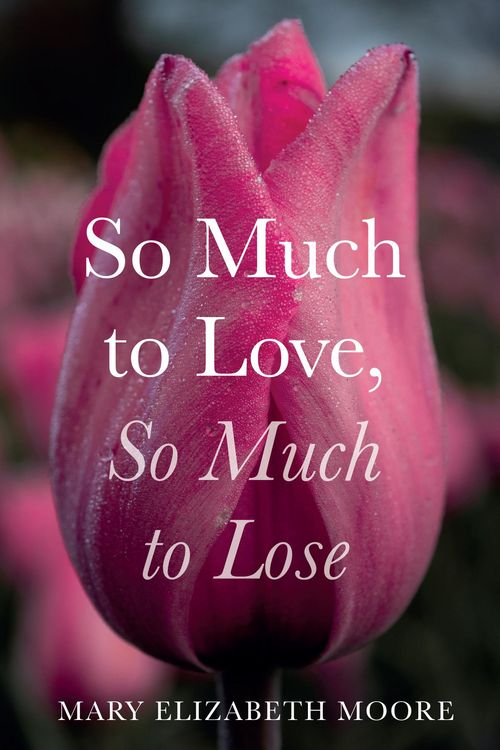 Produktbild: So Much to Love, So Much to Lose