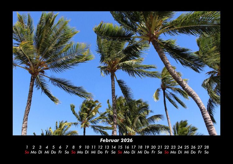 Produktbild: Palmentraum 2026 Fotokalender DIN A3
