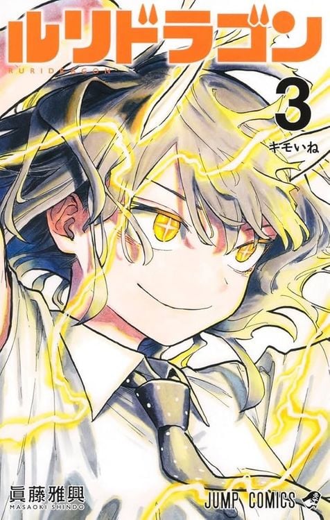 Produktbild: RuriDragon, Vol. 3