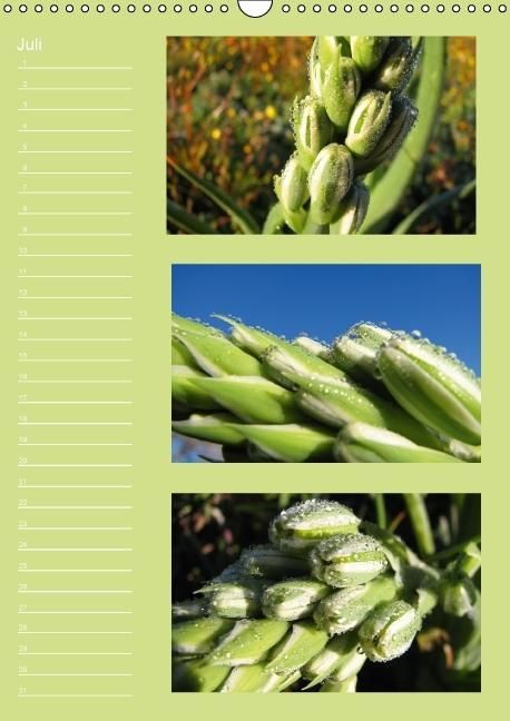 Produktbild: Zauberwelt der Blumen - Eiskristalle & Wasserperlen / Geburtstagskalender (Wandkalender immerw&auml;hrend DIN A3 hoch)