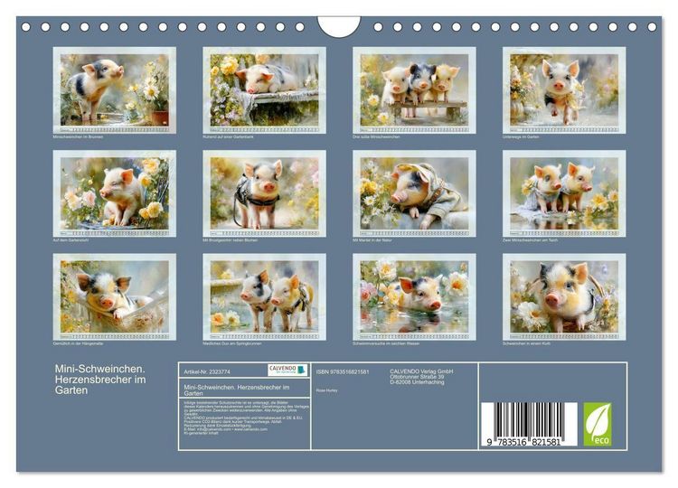 Produktbild: Mini-Schweinchen. Herzensbrecher im Garten (Wandkalender 2027 DIN A4 quer), CALVENDO Monatskalender