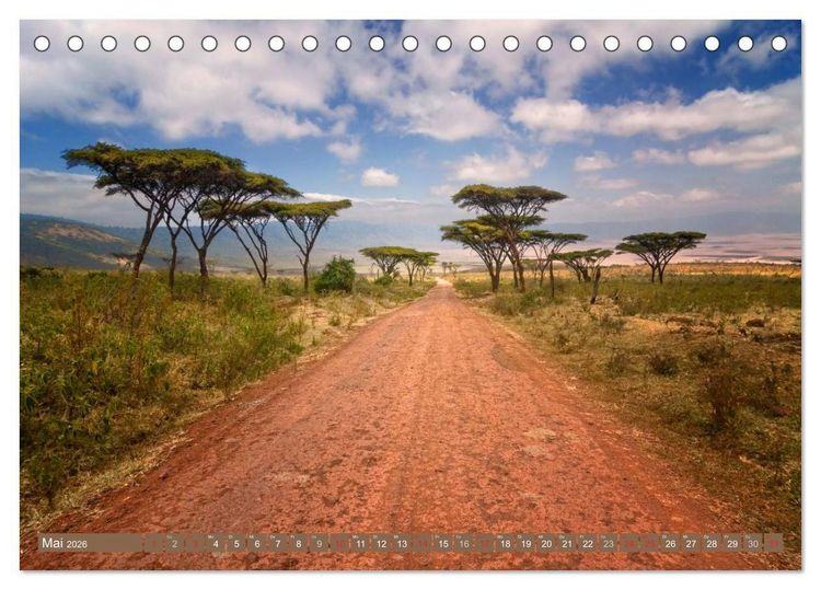 Produktbild: Afrikas B&auml;ume (Tischkalender 2026 DIN A5 quer), CALVENDO Monatskalender