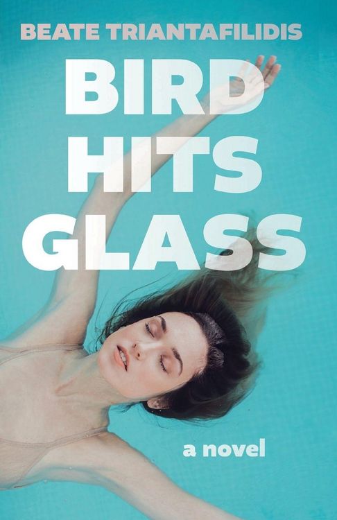 Produktbild: Bird Hits Glass
