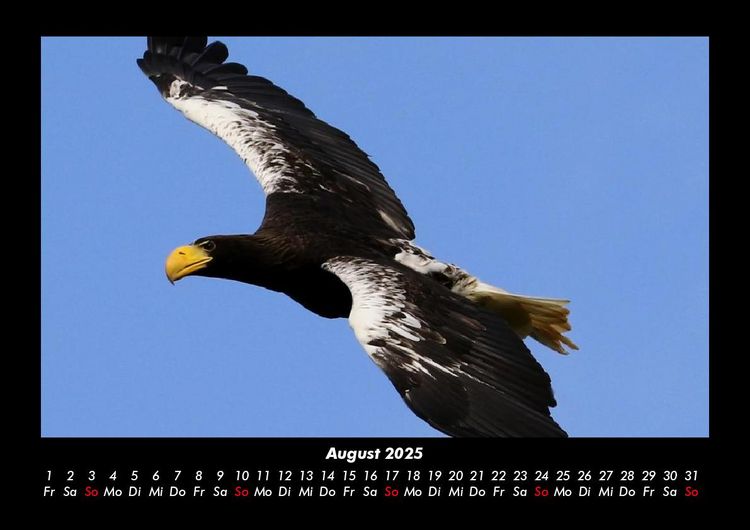 Produktbild: Adler 2025 Fotokalender DIN A3