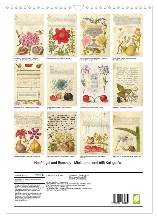 Produktbild: Hoefnagel und Bocskay - Miniaturmalerei trifft Kalligrafie (Wandkalender 2026 DIN A3 hoch), CALVENDO Monatskalender