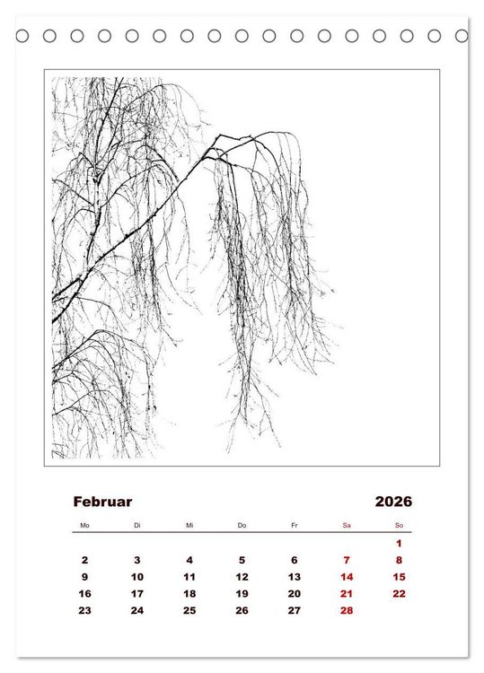 Produktbild: LignoGrafica - Muster und Strukturen der B&auml;ume (Tischkalender 2026 DIN A5 hoch), CALVENDO Monatskalender