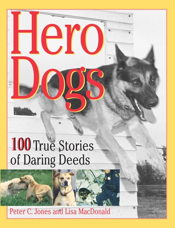 Produktbild: Hero Dogs