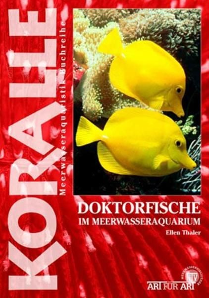 Produktbild: Doktorfische im Meerwasseraquarium