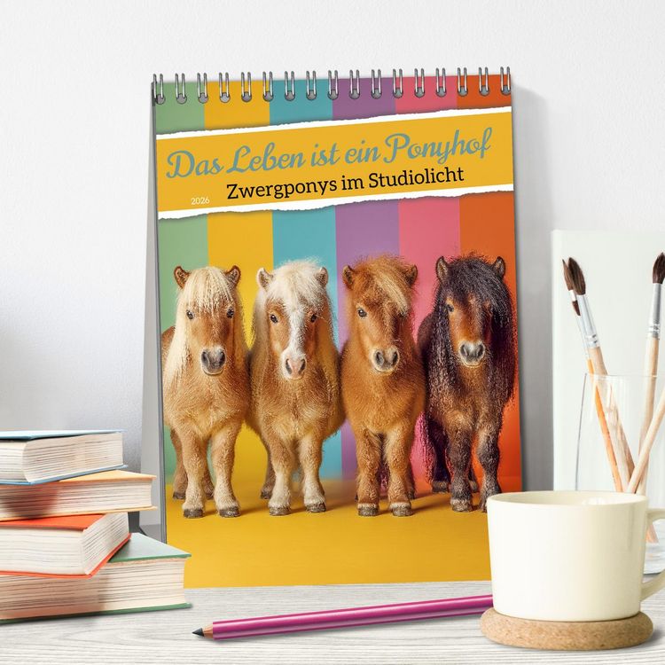 Produktbild: Das Leben ist ein Ponyhof - Zwergponys im Studiolicht (Tischkalender 2026 DIN A5 hoch), CALVENDO Monatskalender