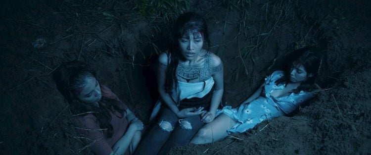 Produktbild: Nightbird