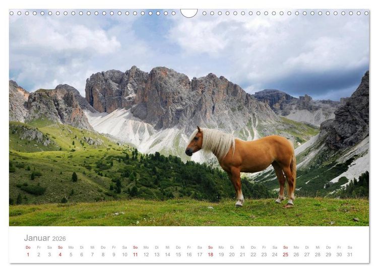 Produktbild: Pferde - In nat&uuml;rlicher Umgebung (Wandkalender 2026 DIN A3 quer), CALVENDO Monatskalender