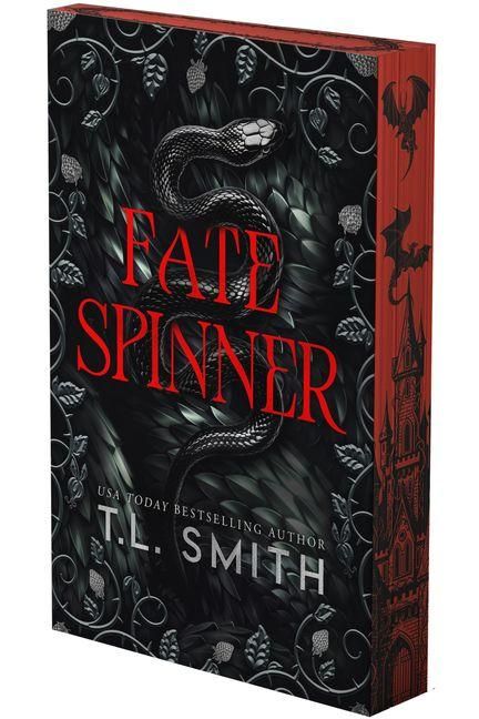 Produktbild: Fate Spinner