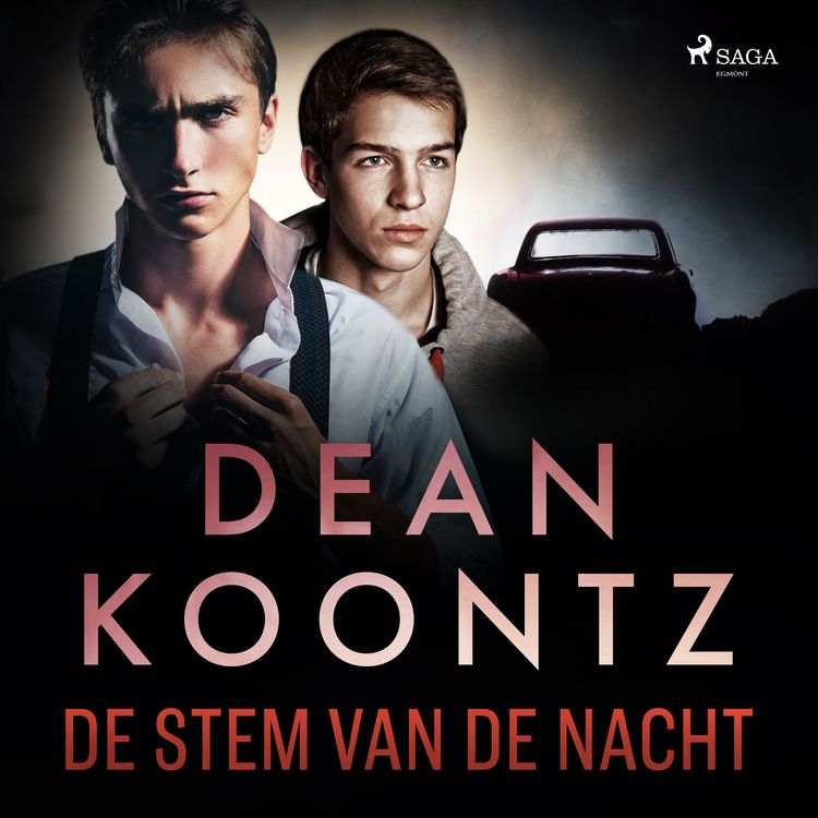 Produktbild: De stem van de nacht