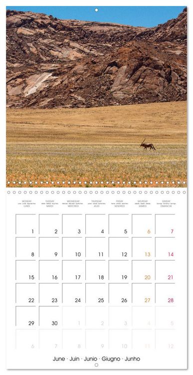 Produktbild: Namibian desert (Wall Calendar 2026 12 &times; 12 Inch) CALVENDO 12 Month Wall Calendar