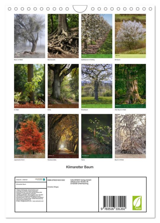 Produktbild: Klimaretter Baum (Wandkalender 2026 DIN A4 hoch), CALVENDO Monatskalender