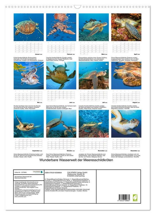 Produktbild: Wunderbare Wasserwelt der Meeresschildkr&ouml;ten (Wandkalender 2026 DIN A2 hoch), CALVENDO Monatskalender