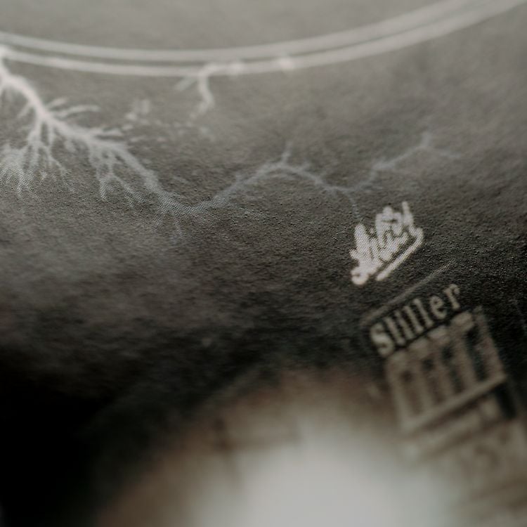 Der elektrische Traum. Fortschrittsjahre oder eine Gesellschaft unter Strom