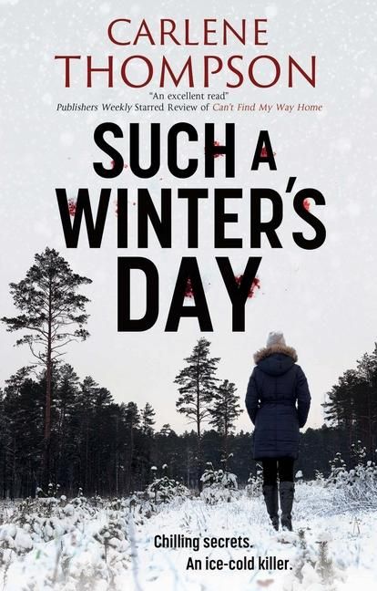 Produktbild: Thompson, C: Such a Winter's Day