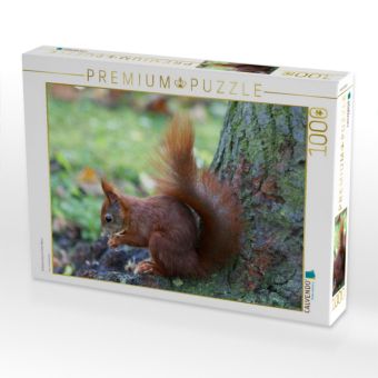 Produktbild: CALVENDO Puzzle Eichh&ouml;rnchen in freier Natur | 1000 Teile Lege-Gr&ouml;&szlig;e 64x48cm Foto-Puzzle f&uuml;r gl&uuml;ckliche Stunden