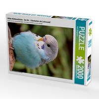 Produktbild: CALVENDO Puzzle Wilde Wellensittiche - Der Nr. 1 Bestseller als Leinwand! | 2000 Teile Lege-Gr&ouml;&szlig;e 90x67cm Foto-Puzzle f&uuml;r gl&uuml;ckliche Stunden