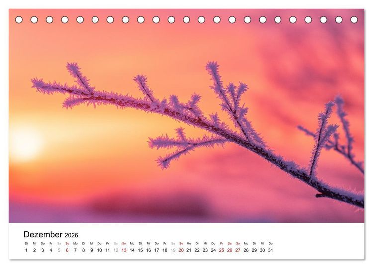 Produktbild: Minimalistische Naturmomente &ndash; Ruhe und Sch&ouml;nheit in der Natur (Tischkalender 2026 DIN A5 quer), CALVENDO Monatskalender