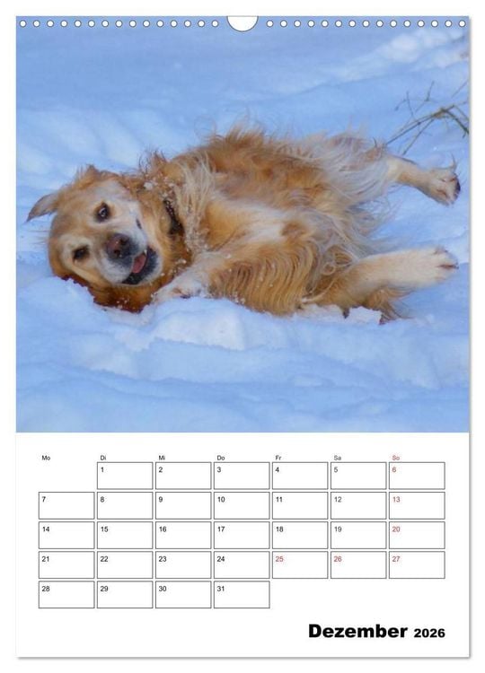 Produktbild: Gl&uuml;cklicher Golden Retriever (Wandkalender 2026 DIN A3 hoch), CALVENDO Monatskalender
