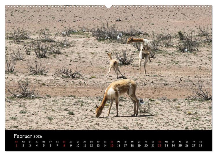Produktbild: Traumziel Peru (hochwertiger Premium Wandkalender 2026 DIN A2 quer), Kunstdruck in Hochglanz