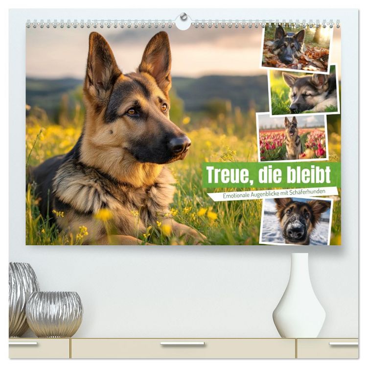 Produktbild: Treue, die bleibt. Emotionale Augenblicke mit Sch&auml;ferhunden. (hochwertiger Premium Wandkalender 2027 DIN A2 quer), Kunstdruck in Hochglanz