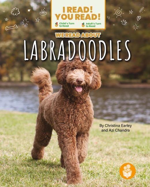 Produktbild: We Read about Labradoodles