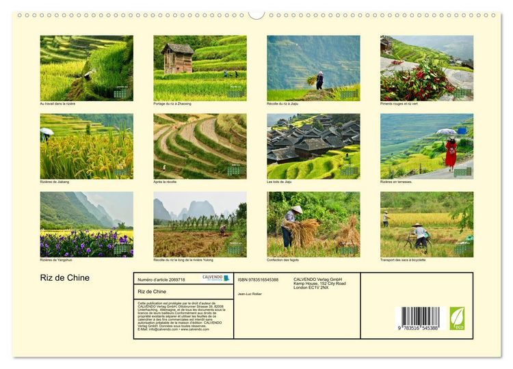 Produktbild: Riz de Chine (Calendrier mural 2026 DIN A2 vertical) calendrier de bureau