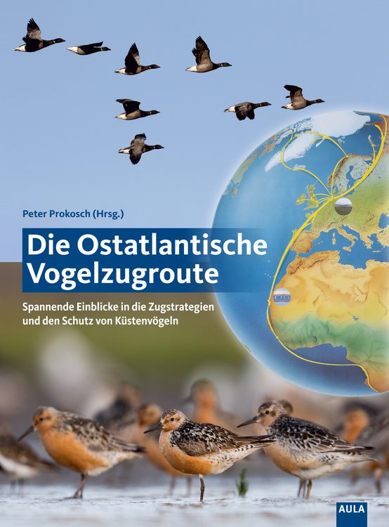 Produktbild: Die Ostatlantische Vogelzugroute